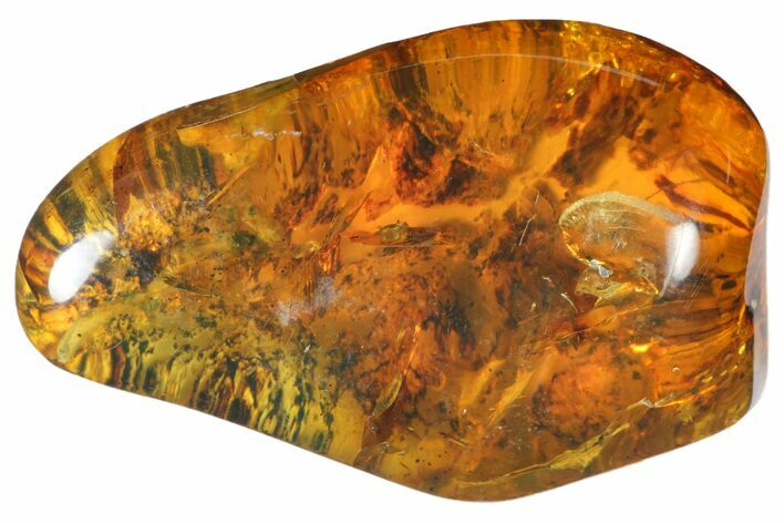 Polished Chiapas Amber ( g) - Mexico #114892